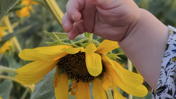 LE PRINTEMPS FAIT ÉCLORE DE NOUVEAUX PROJETS